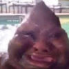 amariliii